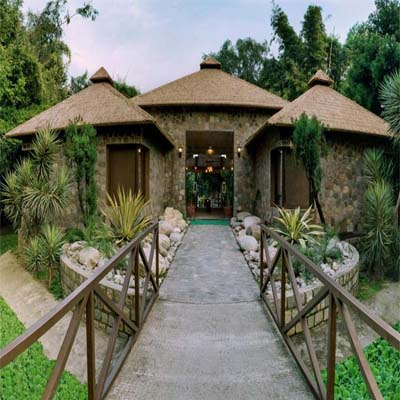 Tarangi Resort & Spa, Jim Corbett